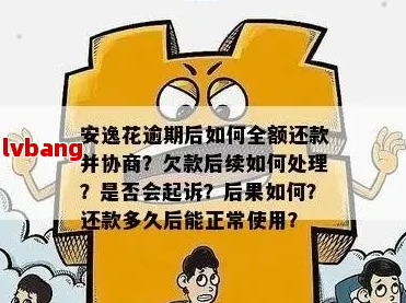 安逸花法务协商成功案例分析
